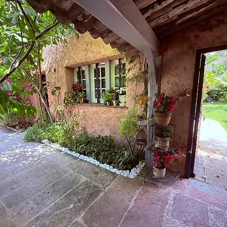 Abeille Bed and Breakfast Vence